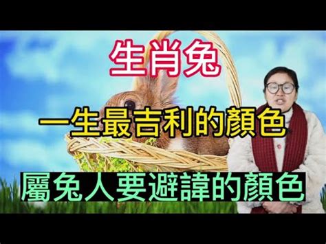 牆色 本命元神查詢